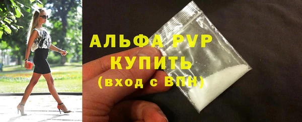 сатива Арсеньев