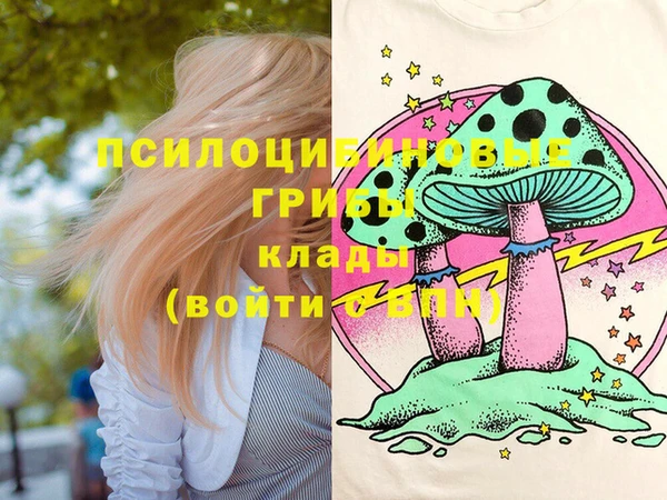 сатива Арсеньев