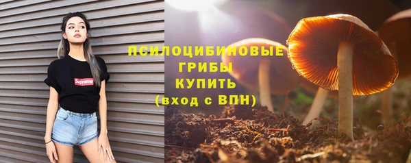 соль ск Аркадак