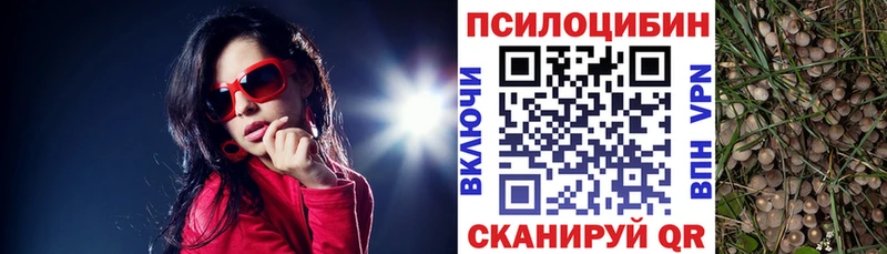 Галлюциногенные грибы мицелий  Красноуральск 